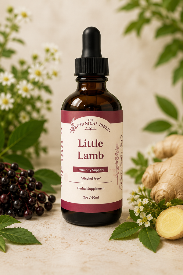 Little Lamb - Children Immunity
